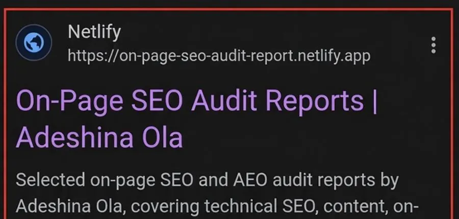 Google search result for the On-Page SEO Audit Reports page