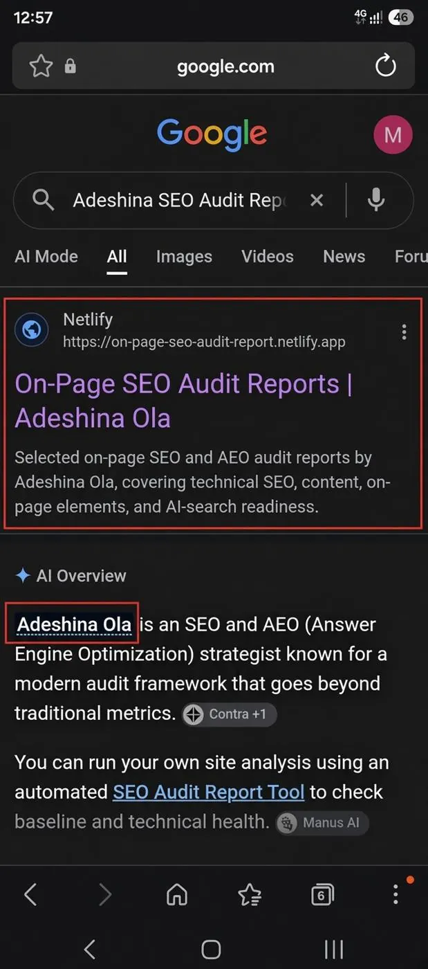 Google search results showing the On-Page SEO Audit Reports page by Adeshina Ola, with a Google AI Overview describing her as an SEO and AEO strategist